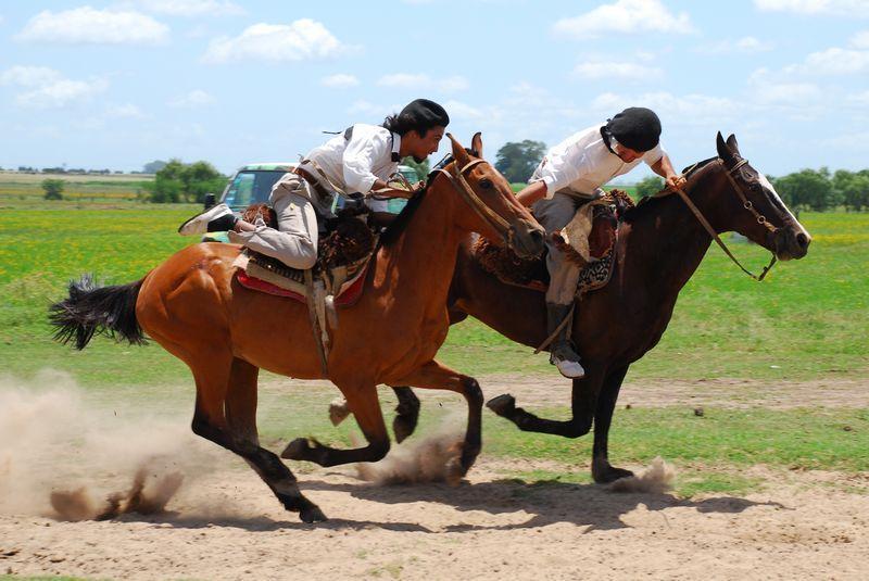 Diego Gaynor Estancia Don Silvanoゲストハウス エクステリア 写真