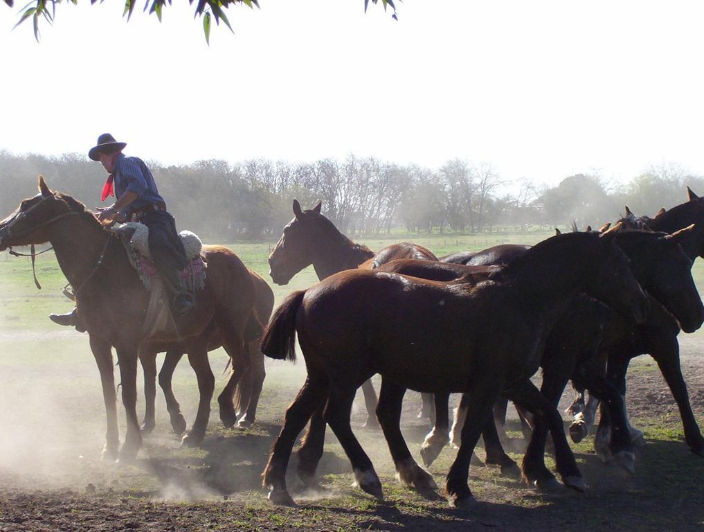 Diego Gaynor Estancia Don Silvanoゲストハウス エクステリア 写真