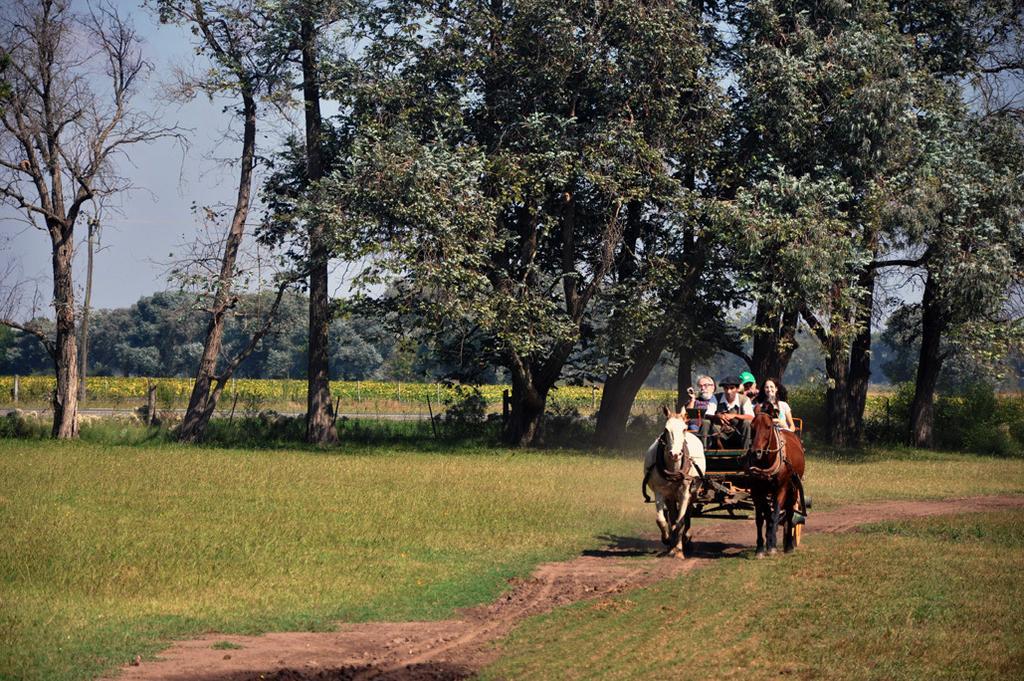 Diego Gaynor Estancia Don Silvanoゲストハウス エクステリア 写真